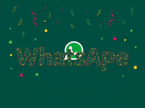 lotazap grupo de whatsapp acaraje e celebracoes