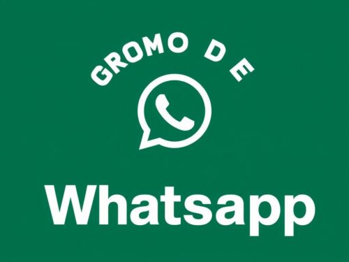 lotazap grupo de whatsapp acaraje e crescimento pessoal