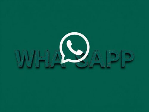 lotazap grupo de whatsapp acaraje e criando lacos