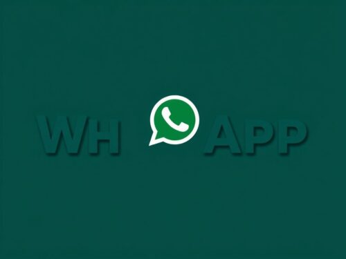 lotazap grupo de whatsapp acaraje e experiencias