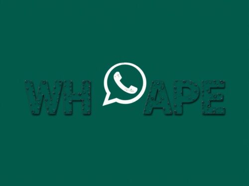 lotazap grupo de whatsapp acaraje e historias de vida
