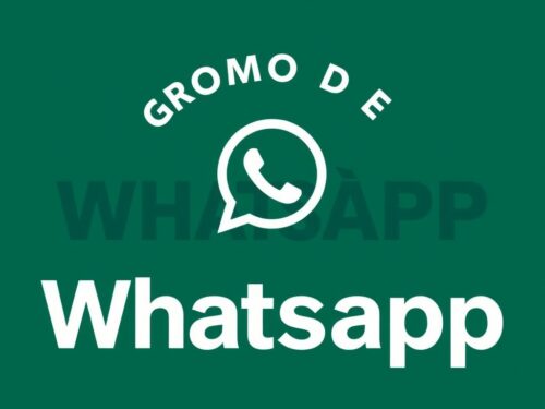 lotazap grupo de whatsapp acaraje e inovacao