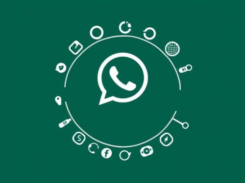 lotazap grupo de whatsapp acaraje e networking
