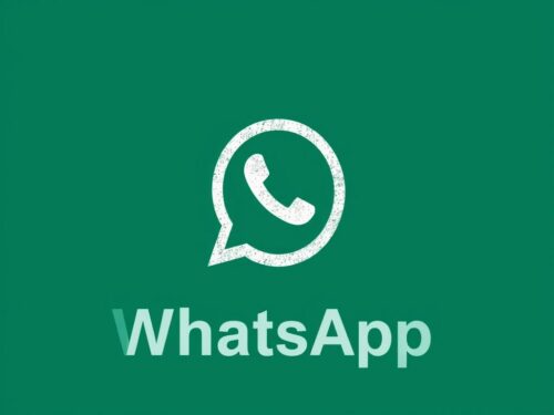 lotazap grupo de whatsapp acaraje e publicidade