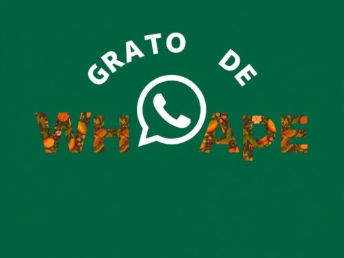 lotazap grupo de whatsapp acaraje e sabores