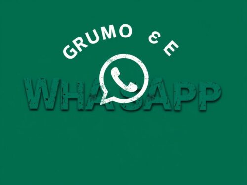 lotazap grupo de whatsapp acaraje e sustentabilidade