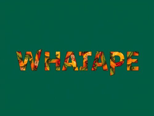 lotazap grupo de whatsapp acaraje e tradicoes