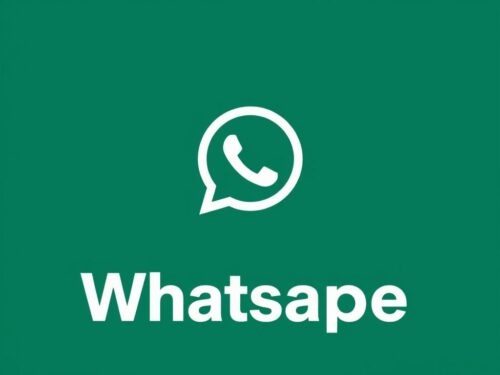 lotazap grupo de whatsapp acaraje em familia