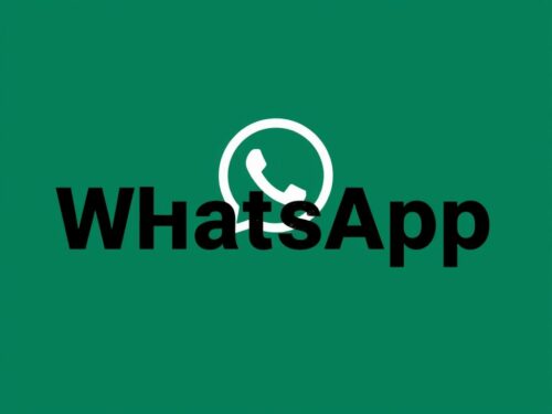 lotazap grupo de whatsapp acaraje vegano