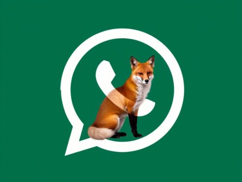 lotazap grupo de whatsapp afoxe