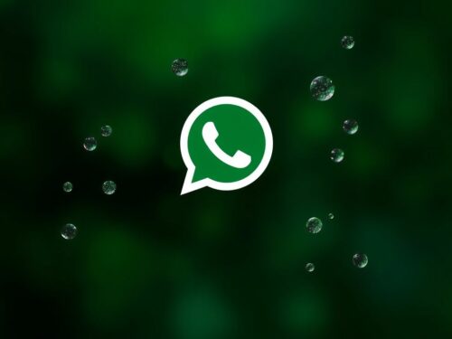 lotazap grupo de whatsapp conexao com a natureza