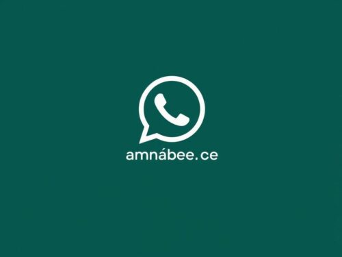 lotazap grupo de whatsapp experiencia de vida