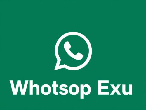 lotazap grupo de whatsapp exu