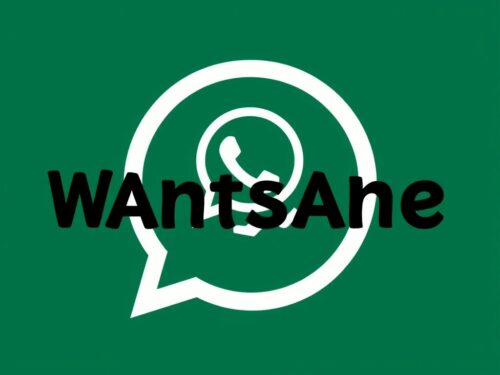 lotazap grupo de whatsapp farinha de acaraje e suas utilizacoes