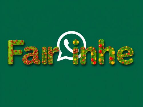 lotazap grupo de whatsapp farinha de acaraje organica