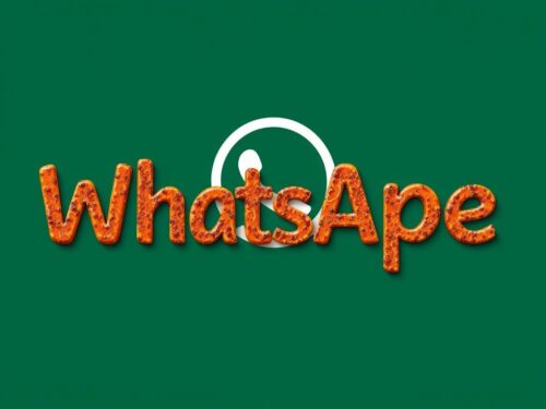 lotazap grupo de whatsapp farinha de acaraje receita