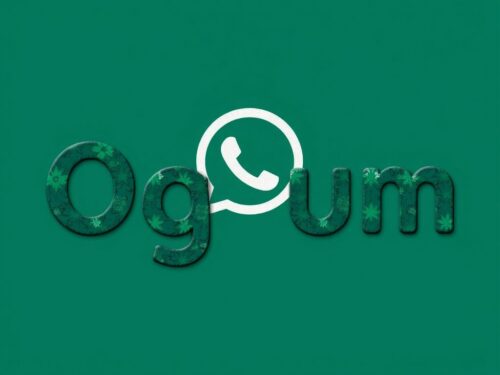 lotazap grupo de whatsapp ogum
