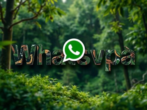 lotazap grupo de whatsapp orixas e a natureza
