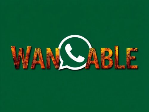 lotazap grupo de whatsapp rituais de candomble