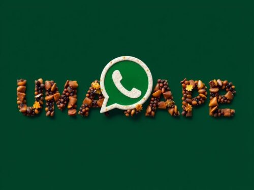 lotazap grupo de whatsapp umbanda e candomble elementos naturais